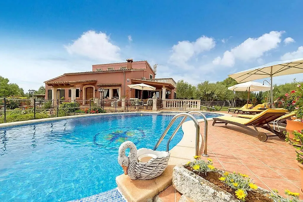 Finca Diver Can Picafort  Spain